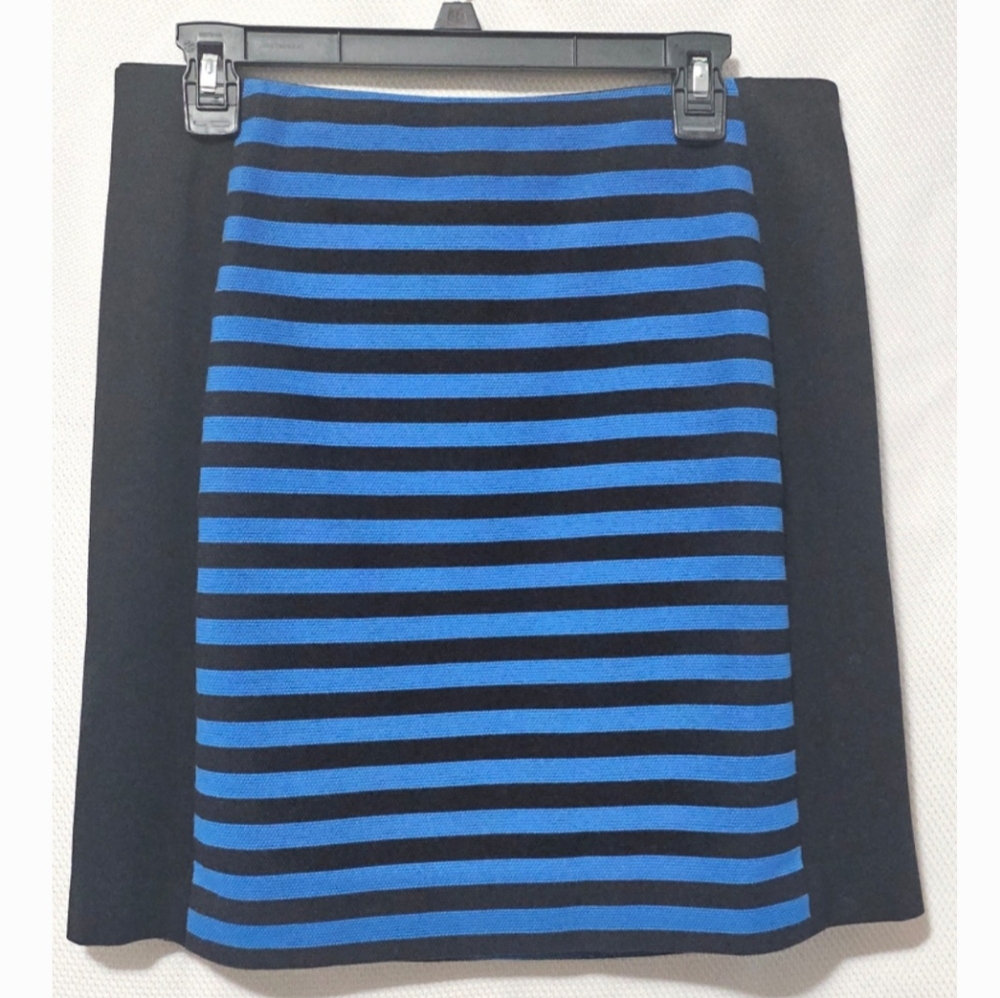 Ann Taylor Skirt